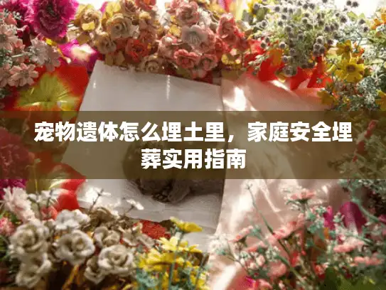 宠物遗体怎么埋土里，家庭安全埋葬实用指南