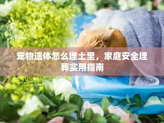 宠物遗体怎么埋土里，家庭安全埋葬实用指南