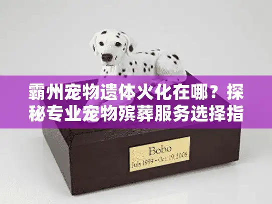 霸州宠物遗体火化在哪？探秘专业宠物殡葬服务选择指南
