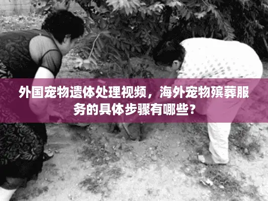 外国宠物遗体处理视频，海外宠物殡葬服务的具体步骤有哪些？