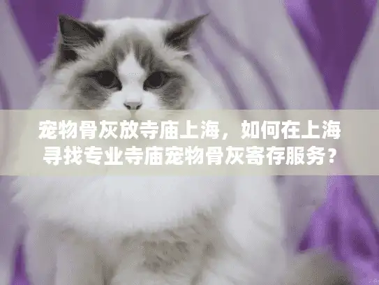 宠物骨灰放寺庙上海，如何在上海寻找专业寺庙宠物骨灰寄存服务？
