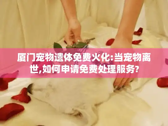 厦门宠物遗体免费火化:当宠物离世,如何申请免费处理服务?