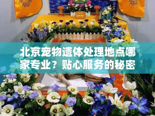 北京宠物遗体处理地点哪家专业？贴心服务的秘密揭晓