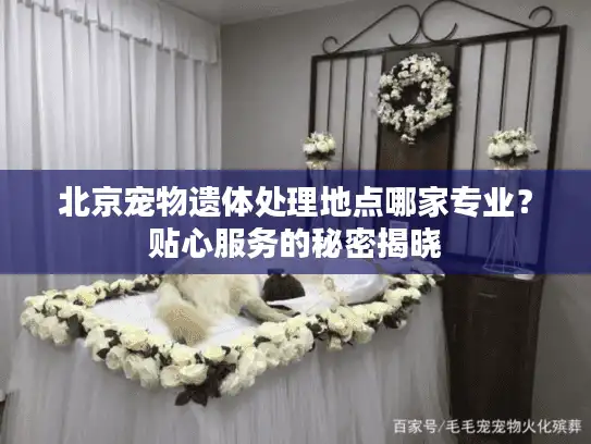 北京宠物遗体处理地点哪家专业？贴心服务的秘密揭晓