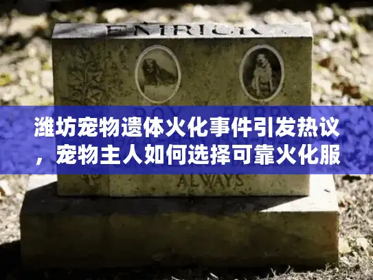 潍坊宠物遗体火化事件引发热议，宠物主人如何选择可靠火化服务？