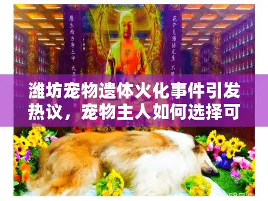 潍坊宠物遗体火化事件引发热议，宠物主人如何选择可靠火化服务？