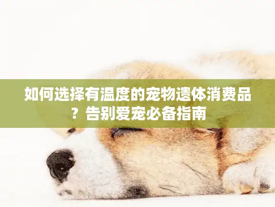 如何选择有温度的宠物遗体消费品？告别爱宠必备指南
