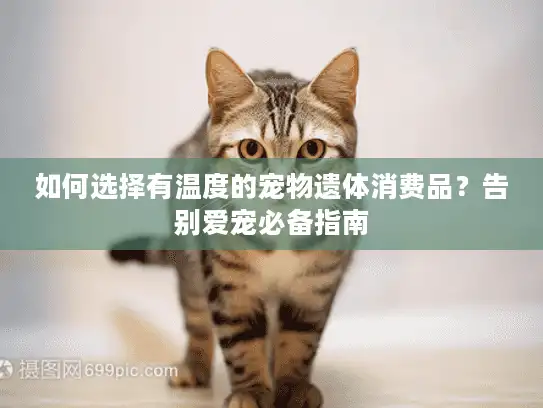 如何选择有温度的宠物遗体消费品？告别爱宠必备指南