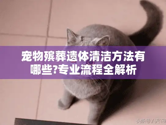 宠物殡葬遗体清洁方法有哪些?专业流程全解析