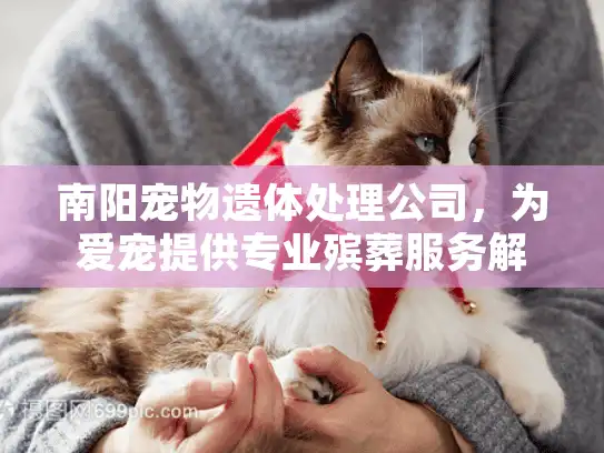 南阳宠物遗体处理公司，为爱宠提供专业殡葬服务解决方案
