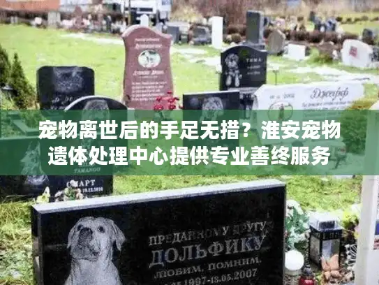 宠物离世后的手足无措？淮安宠物遗体处理中心提供专业善终服务