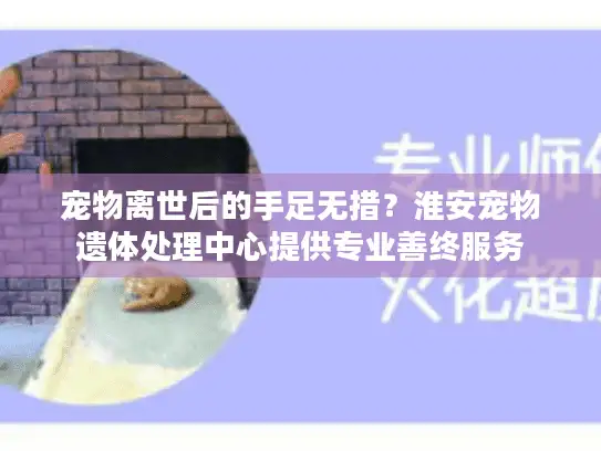 宠物离世后的手足无措？淮安宠物遗体处理中心提供专业善终服务