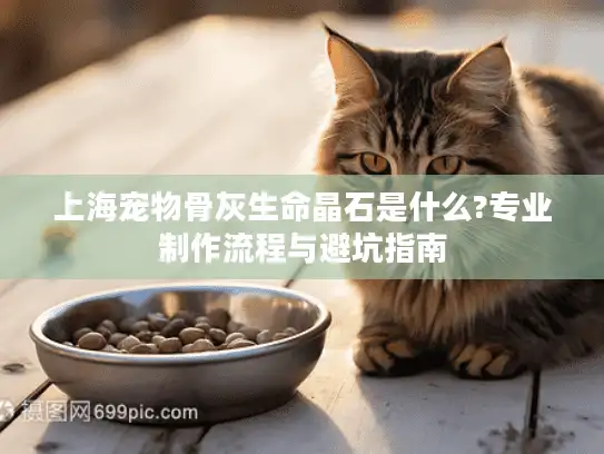 上海宠物骨灰生命晶石是什么?专业制作流程与避坑指南
