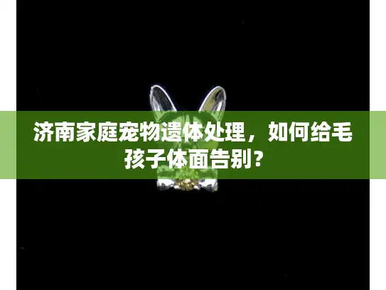 济南家庭宠物遗体处理，如何给毛孩子体面告别？