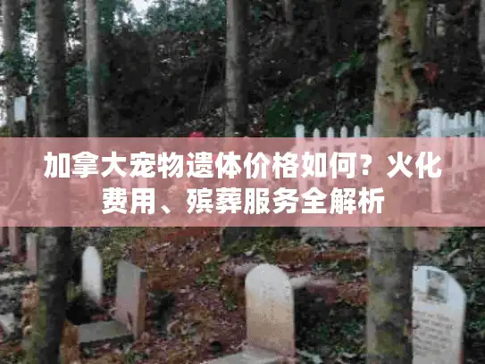 加拿大宠物遗体价格如何？火化费用、殡葬服务全解析