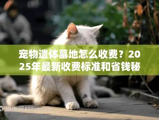 宠物遗体墓地怎么收费？2025年最新收费标准和省钱秘诀