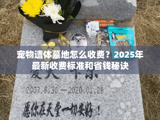 宠物遗体墓地怎么收费？2025年最新收费标准和省钱秘诀
