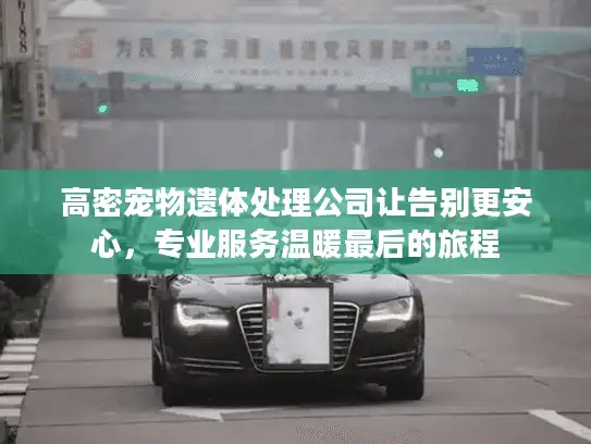 高密宠物遗体处理公司让告别更安心，专业服务温暖最后的旅程