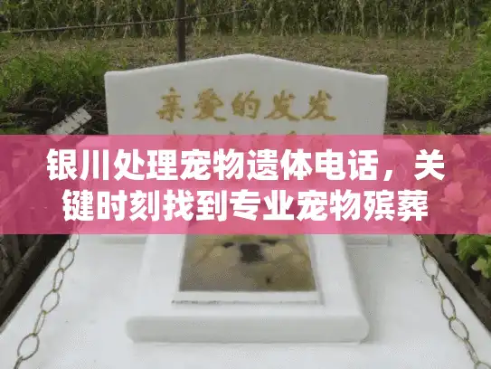 银川处理宠物遗体电话，关键时刻找到专业宠物殡葬服务的完美方案