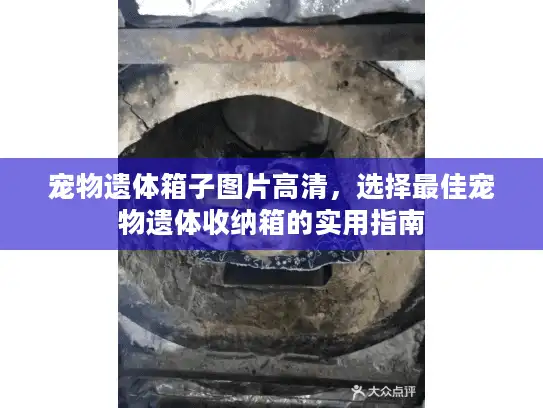 宠物遗体箱子图片高清，选择最佳宠物遗体收纳箱的实用指南