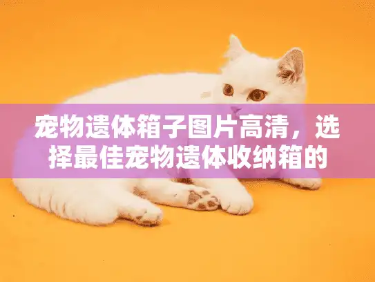 宠物遗体箱子图片高清，选择最佳宠物遗体收纳箱的实用指南