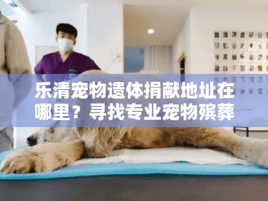 乐清宠物遗体捐献地址在哪里？寻找专业宠物殡葬服务地址