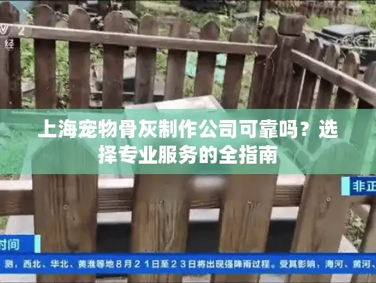上海宠物骨灰制作公司可靠吗？选择专业服务的全指南