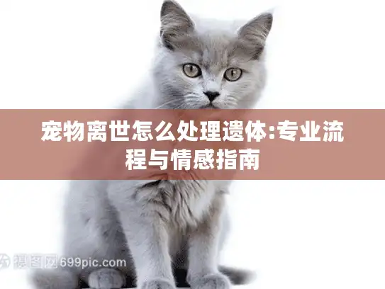 宠物离世怎么处理遗体:专业流程与情感指南