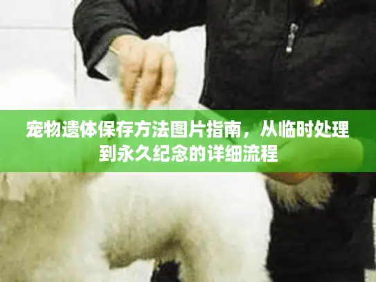 宠物遗体保存方法图片指南，从临时处理到永久纪念的详细流程