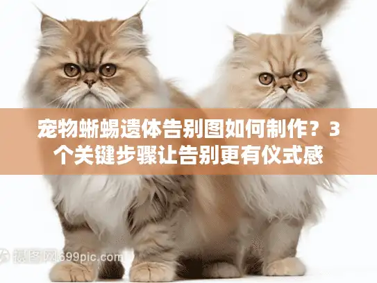 宠物蜥蜴遗体告别图如何制作？3个关键步骤让告别更有仪式感