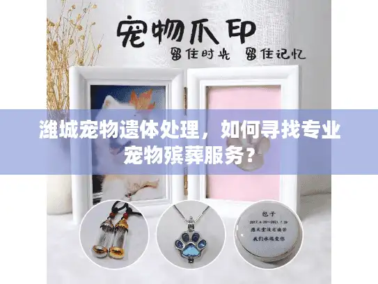 潍城宠物遗体处理，如何寻找专业宠物殡葬服务？