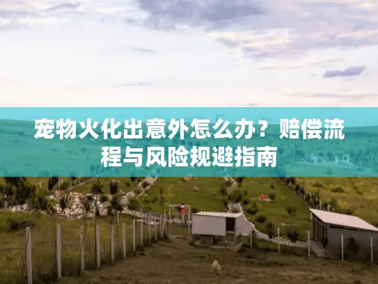 宠物火化出意外怎么办？赔偿流程与风险规避指南