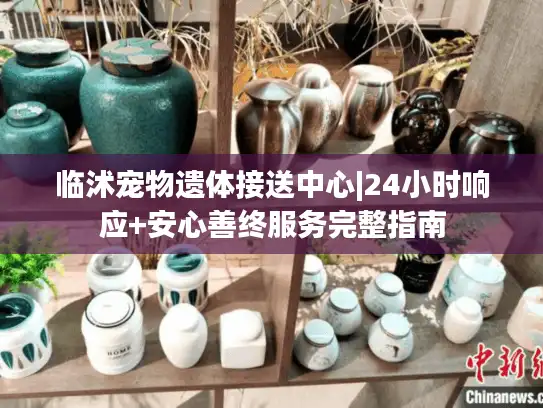临沭宠物遗体接送中心|24小时响应+安心善终服务完整指南
