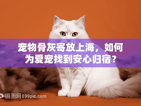 宠物骨灰寄放上海，如何为爱宠找到安心归宿？
