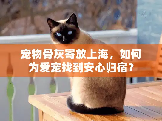 宠物骨灰寄放上海，如何为爱宠找到安心归宿？