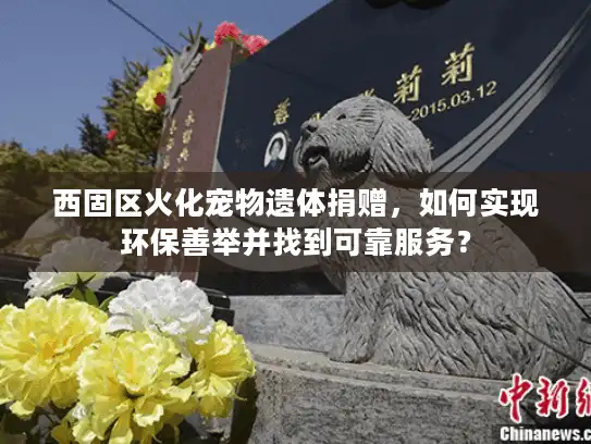 西固区火化宠物遗体捐赠，如何实现环保善举并找到可靠服务？