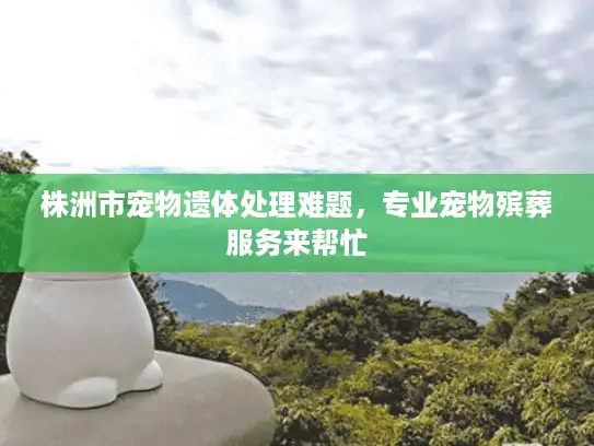 株洲市宠物遗体处理难题，专业宠物殡葬服务来帮忙