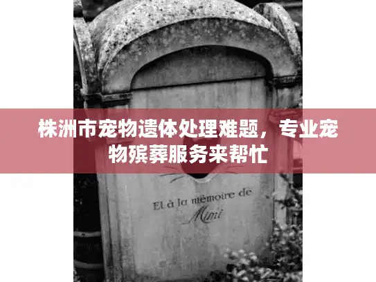 株洲市宠物遗体处理难题，专业宠物殡葬服务来帮忙