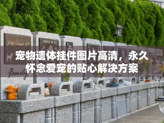 宠物遗体挂件图片高清，永久怀念爱宠的贴心解决方案