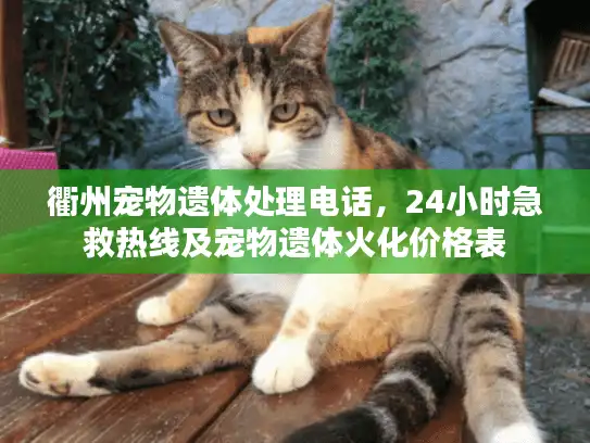 衢州宠物遗体处理电话，24小时急救热线及宠物遗体火化价格表