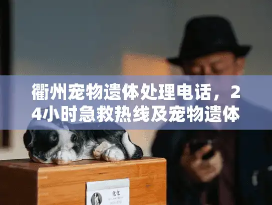 衢州宠物遗体处理电话，24小时急救热线及宠物遗体火化价格表