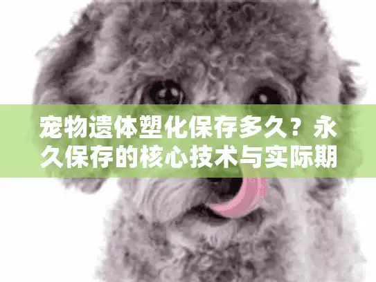 宠物遗体塑化保存多久？永久保存的核心技术与实际期限