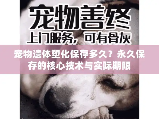 宠物遗体塑化保存多久？永久保存的核心技术与实际期限