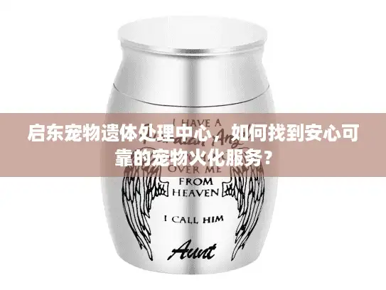启东宠物遗体处理中心，如何找到安心可靠的宠物火化服务？