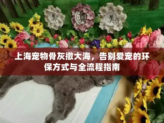 上海宠物骨灰撒大海，告别爱宠的环保方式与全流程指南