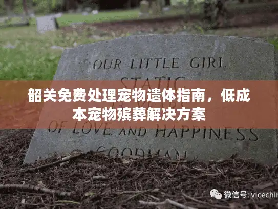 韶关免费处理宠物遗体指南，低成本宠物殡葬解决方案