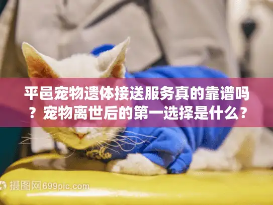 平邑宠物遗体接送服务真的靠谱吗？宠物离世后的第一选择是什么？