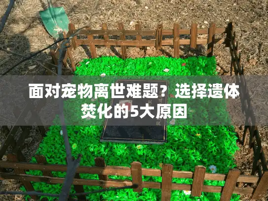 面对宠物离世难题？选择遗体焚化的5大原因