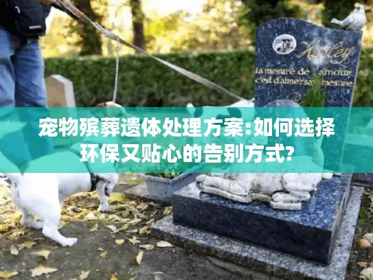 宠物殡葬遗体处理方案:如何选择环保又贴心的告别方式?