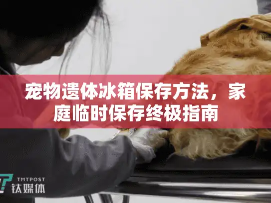 宠物遗体冰箱保存方法，家庭临时保存终极指南